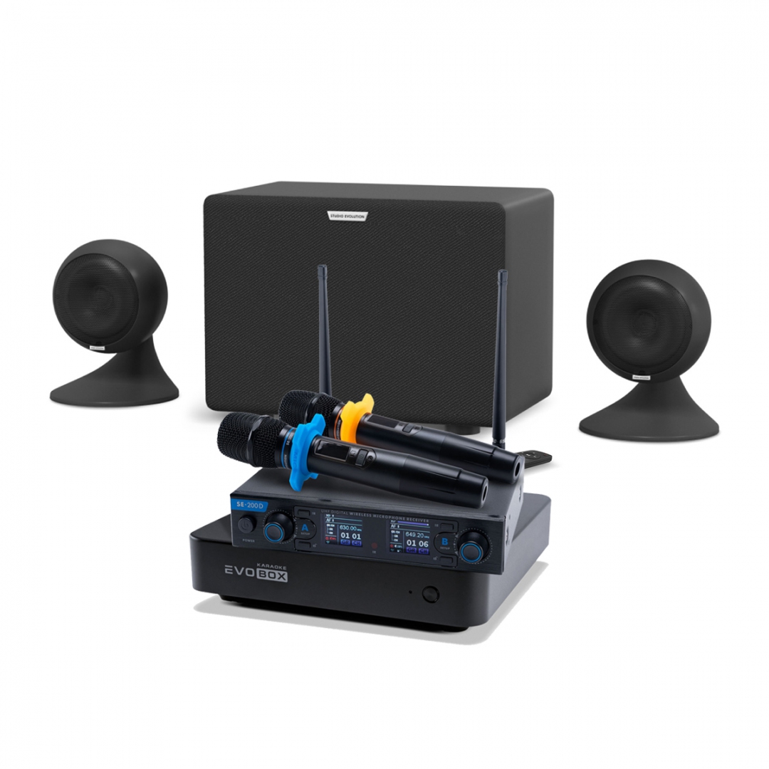 караоке-комплект EVOBOX + EvoSound Sphere 2.1 в Михайловске