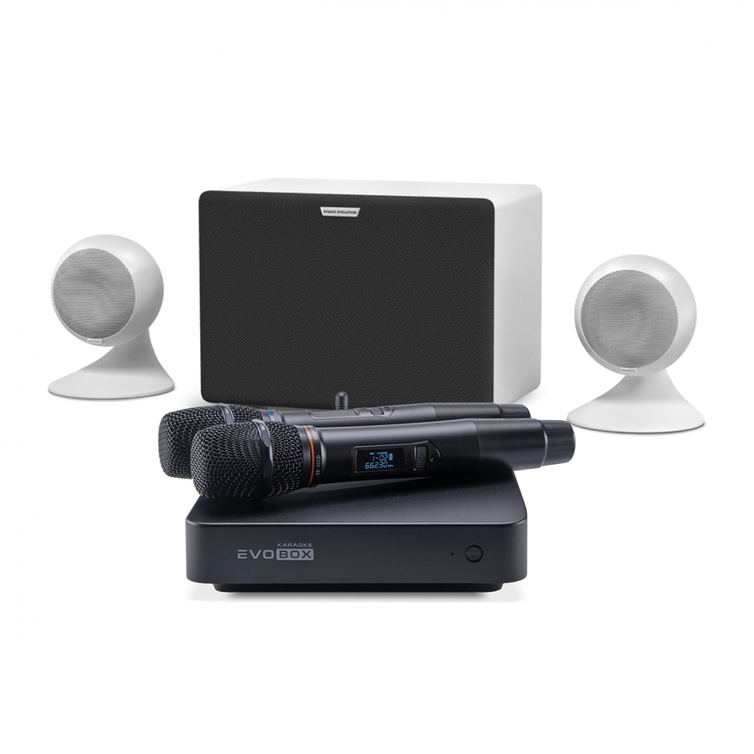 караоке-комплект EVOBOX Classic + EvoSound Sphere 2.1 в Михайловске
