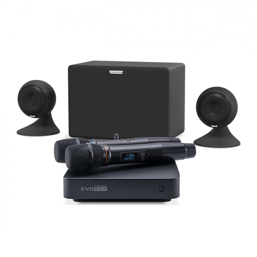 караоке-комплект EVOBOX Plus + EvoSound Sphere 2.1 в Михайловске