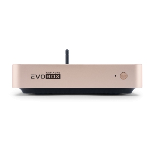 EVOBOX Classic караоке-система для дома в Михайловске