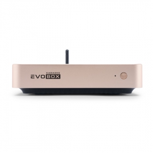 EVOBOX Plus караоке-система для дома в Михайловске