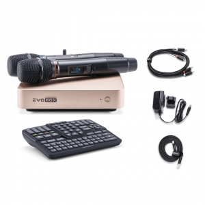 EVOBOX Plus караоке-система для дома в Михайловске