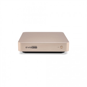 EVOBOX с микрофонами в Михайловске